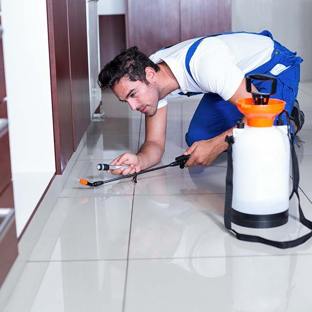 man-holding-torch-while-spraying-insecticide man-holding-torch-while-spraying-insecticide