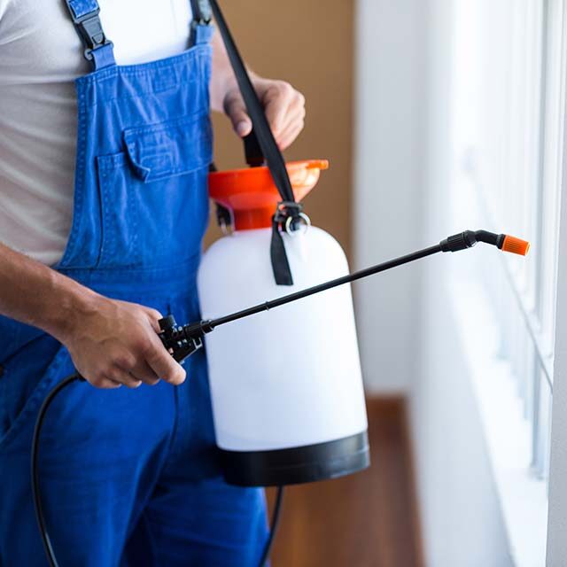 midsection-pest-control-worker-with-sprayer midsection-pest-control-worker-with-sprayer