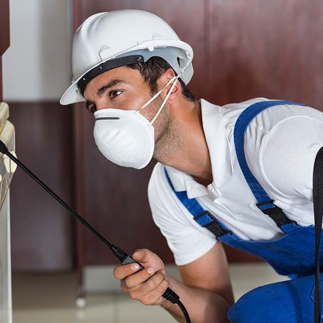 pest-worker-using-sprayer-cabinets-kitchen pest-worker-using-sprayer-cabinets-kitchen